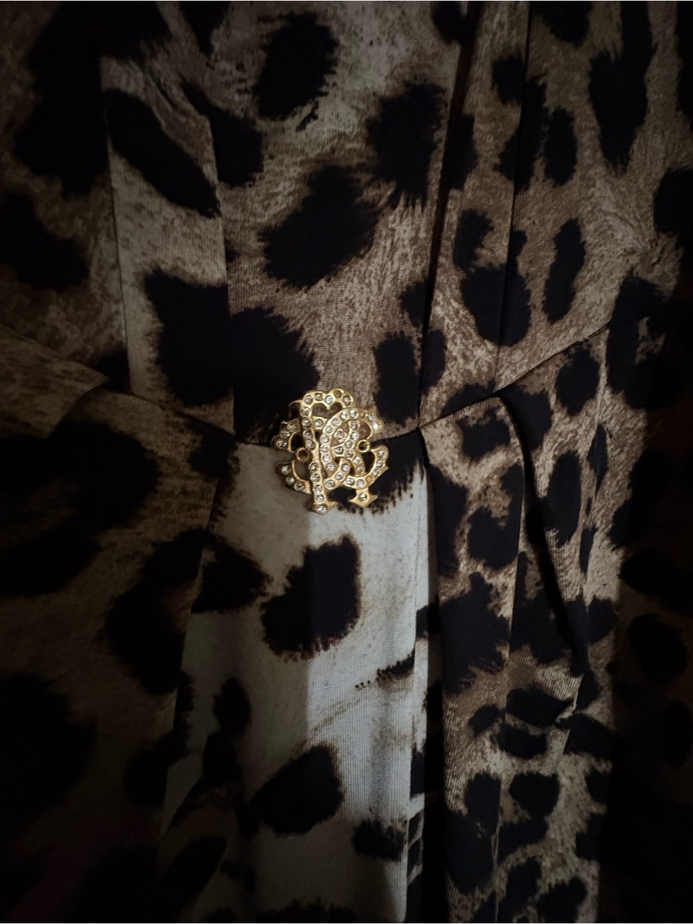Roberto Cavalli Leopard Print Long Sleeve Maxi Dress - Brown/Black médium - Picture 4 of 11